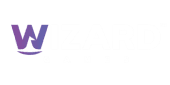 Visa partner logo